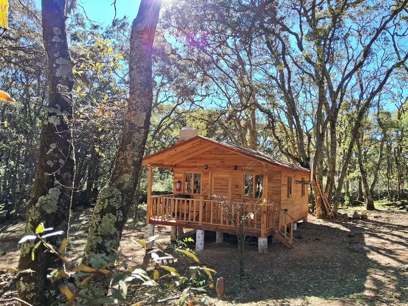 Private Nature Getaway - Forest Cabin - Image 1