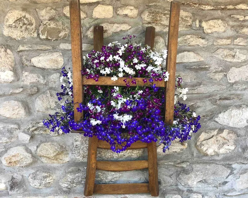 Casa Nonna Elide - Image 1