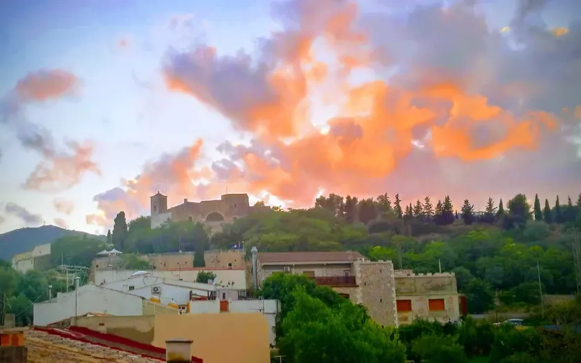 Painter Josep Mestre's House - Image 1