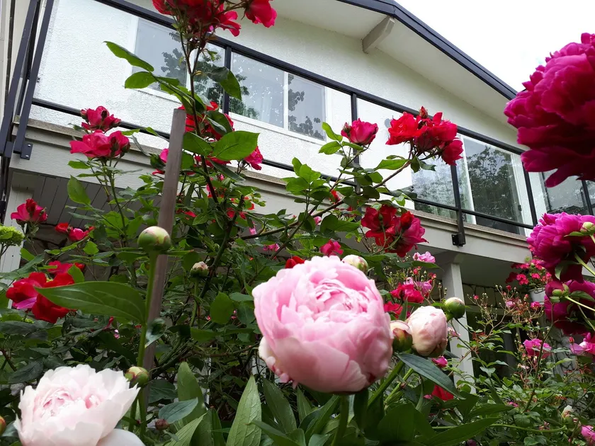 3 BD Close to Skytrain, Shopping in Vancouver - Image 1