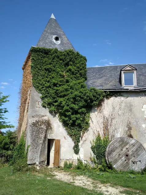 The Mansion - Image 1