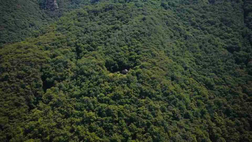 Detached hideaway Rustico in the middle of the forest - Image 1