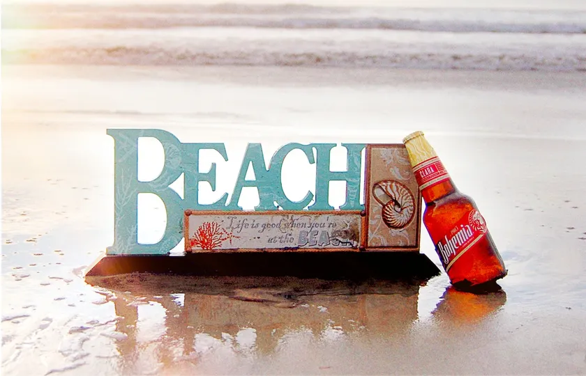 The Beach Life - Image 1