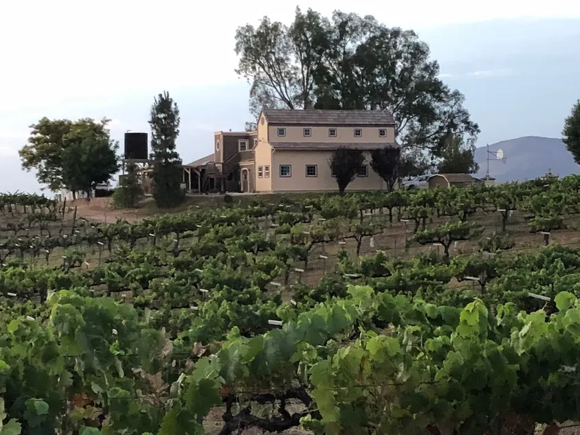 Temecula Wine Country Home on 5 Acre Vineyard - Image 1
