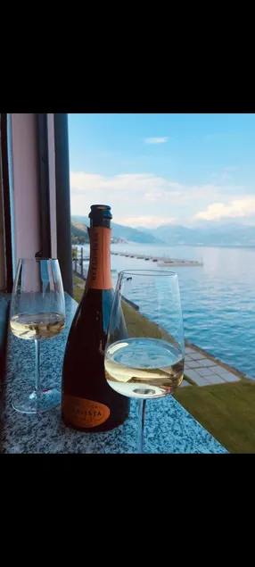 Superb villa with panoramic view over Lake Maggiore - Image 1