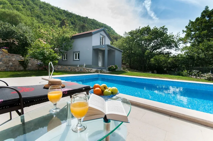 NEW LUXURY HOUSE WITH POOL - Image 1