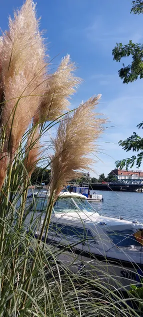 Vacation apartment on the Dahme in Berlin Köpenick - Image 1