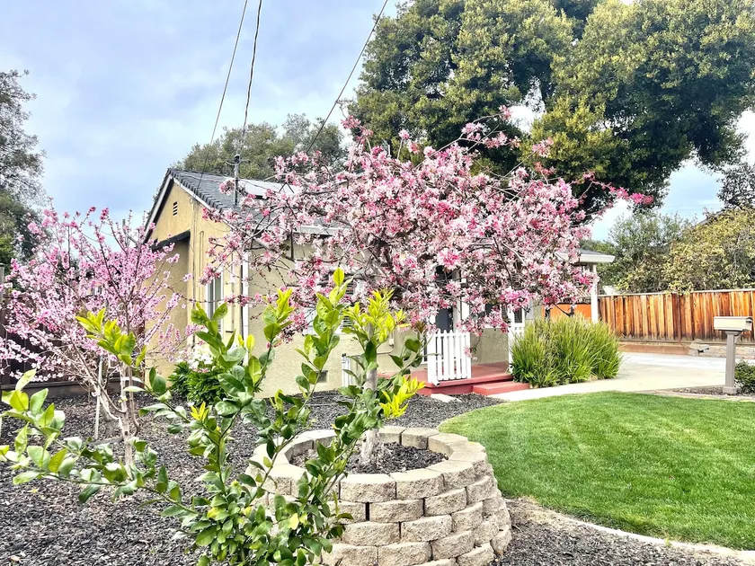 10255 | Guest Studio | Downtown San Jose | Yard - Image 1