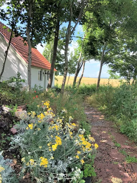 Guesthouse with sauna on Söderslätt - Image 1