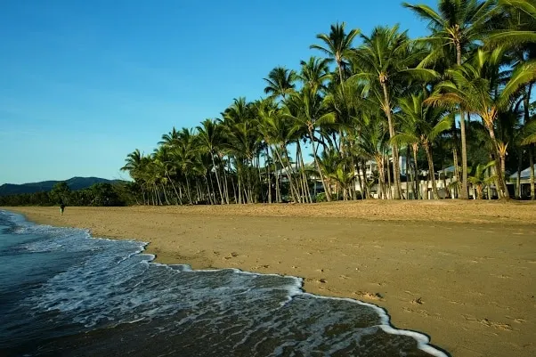 Studio Apt 7 Rainforest Retreat at the Beach. - Image 1