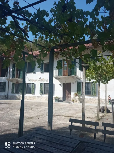 In the Panorama - Image 1