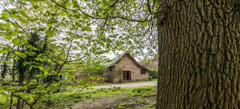 Forest of Dean, The Old Chapel - Image 1