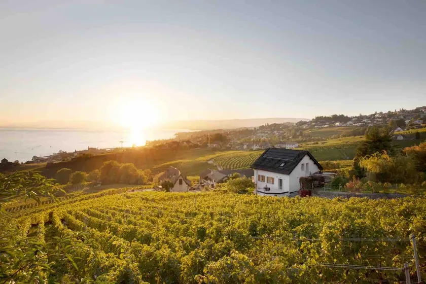 #Lavaux - Image 1