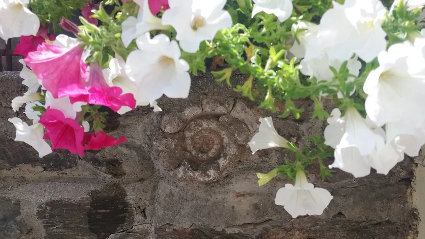 ”Il fossile” Holiday apartment Cin IT022104C2TSYBBPwO - Image 1