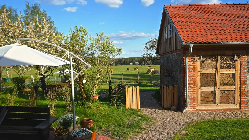 Vacation home Alte Schule Chorin / Schorfheide - Image 1