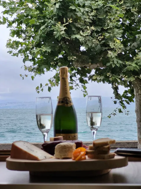 Lakefront/beach/lake view/Leman/lake Geneva/Paddleboarding - Image 1