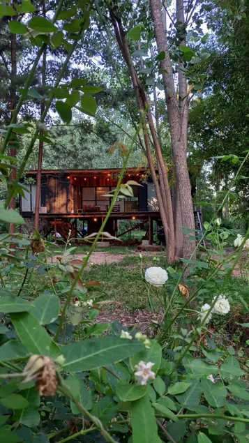 Wild cabin + pool in the heart of the Delta - Image 1