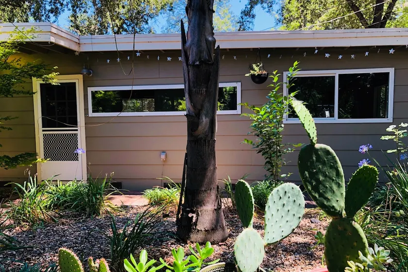 Casita Nopal - Image 1