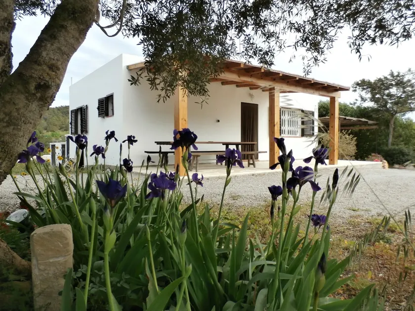 Sa Vinya Casa de Campo - Image 1