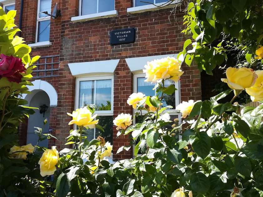 Large pretty holiday cottage by the sea sleeps 10 - Image 1