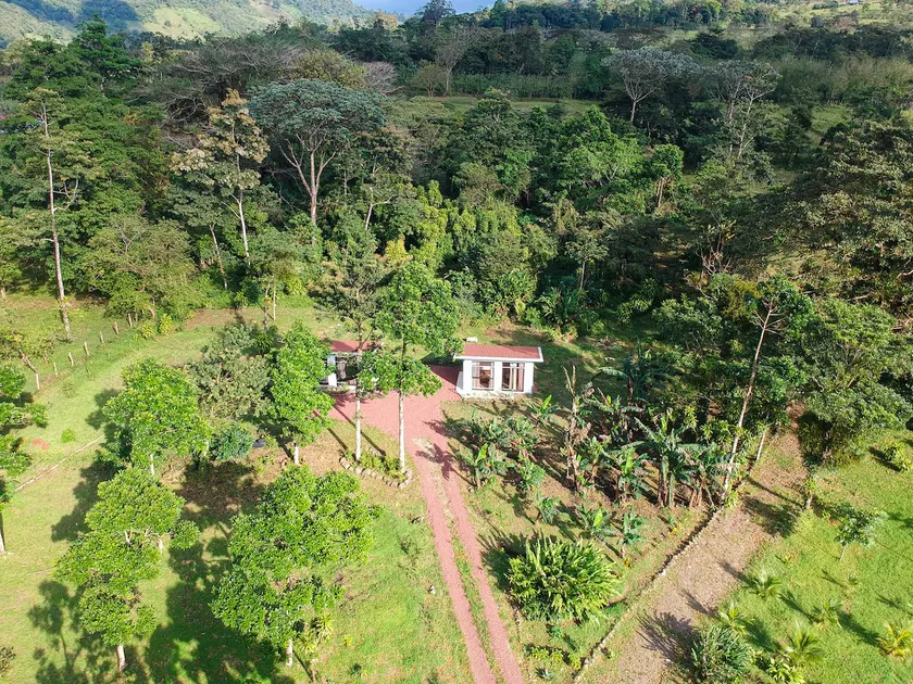 Cabina Oso Perezoso - 10 km from Río Celeste - Image 1
