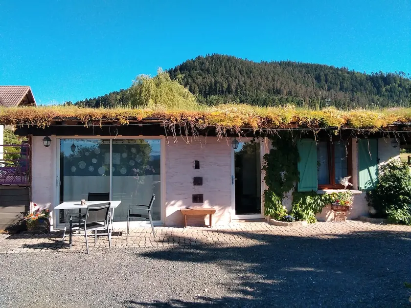 Chic country house under a green roof - Image 1