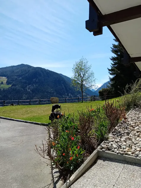 Alpine view - Image 1