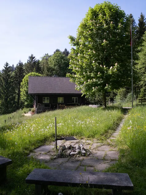 Cozy-Rustic Cabin on the edge of the forest - Image 1