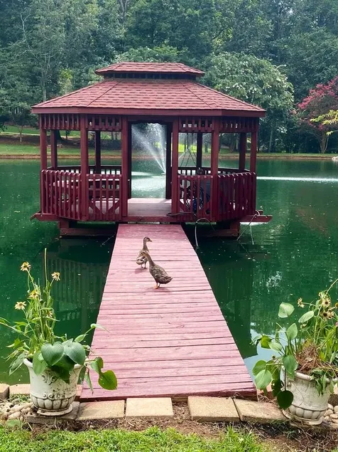 “Peaceful Retreat” 2 BR/ 1 Bath Bungalow. Sleeps 6 - Image 1