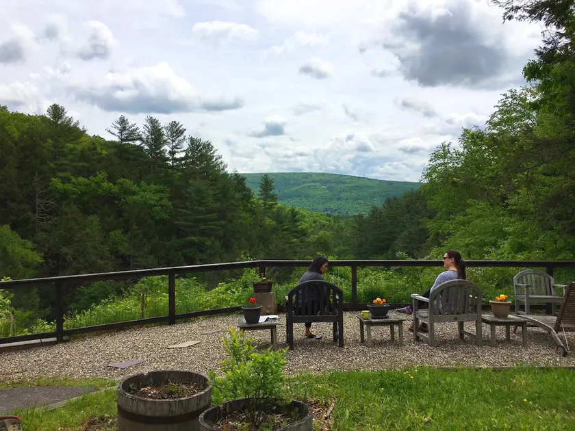 Catskills log cabin w/waterfall, views & hot tub - Image 1