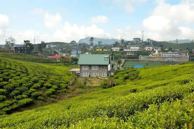Sarah Cottage - Nuwara Eliya - Image 1