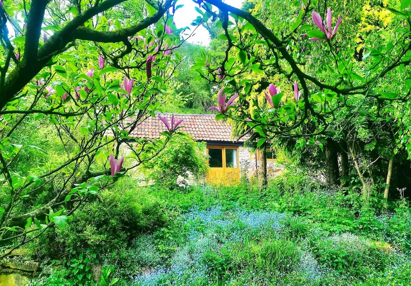 Set in 40 Acres of Private Countryside in AONB - Image 1