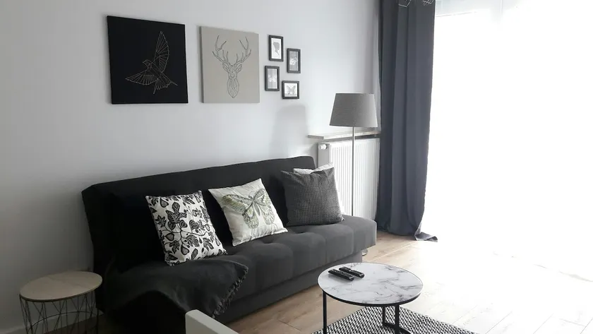 Lux Apartment close to Medicover and Paley - Image 1