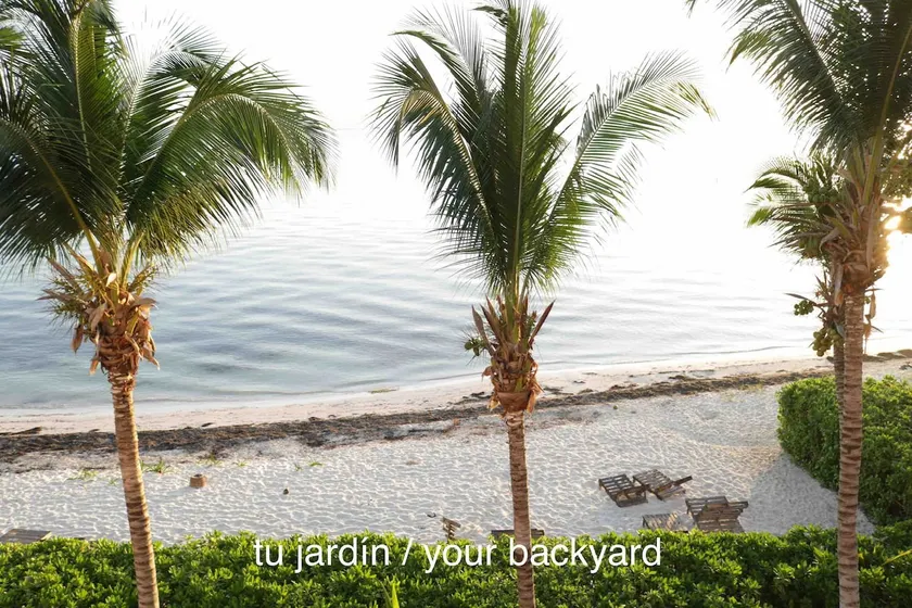 Ocean Paradise A - Image 1