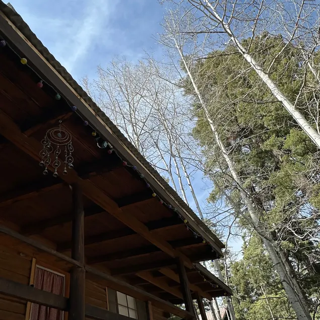 Rustic Charmer | 2BR Mtn Cabin in Cloudcroft w/AC - Image 1