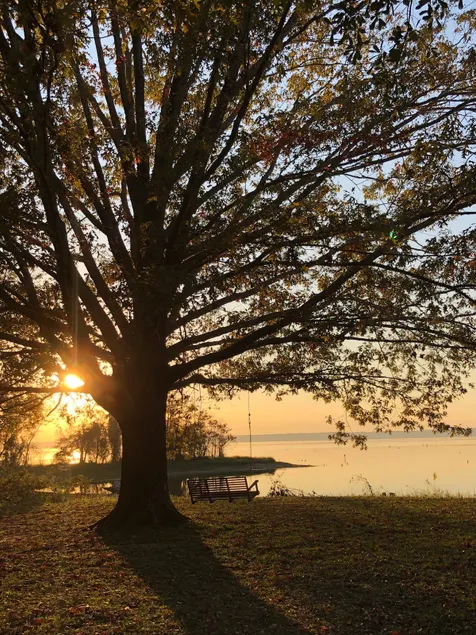Sunset Point Fishing Lodge on Toledo Bend/WiFi! - Image 1