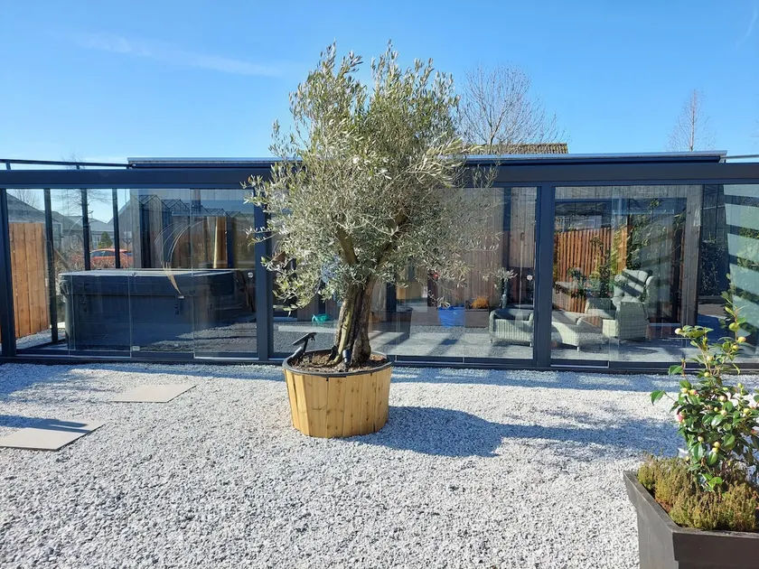 Our Wellness Cottage - Image 1