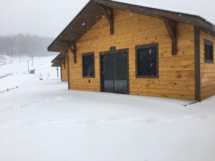 The Sugar Bush (#2) - Image 1