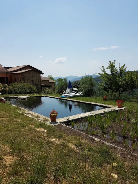 Nice apartment in Il Montale farmhouse - Image 1