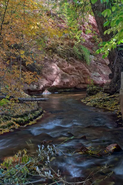 Refreshed River Cabin| Walk to Dwtwn Manitou - Image 1