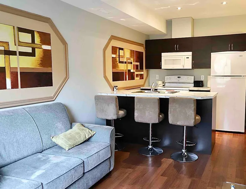 Newly renovated downtown condo - Image 1