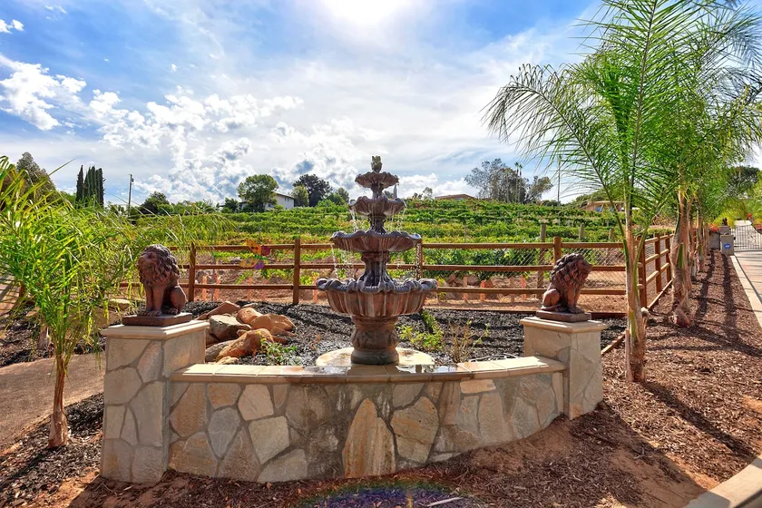 Private Vineyard Estate w/ Guest House & Hot Tub - Image 1