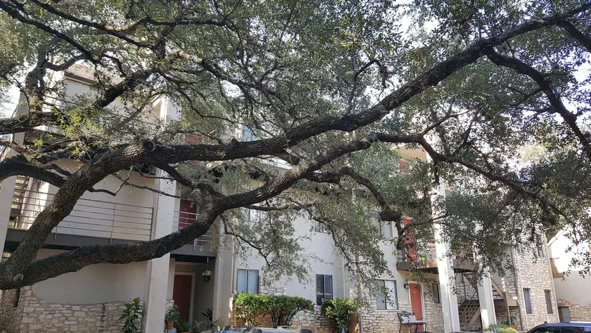 South Austin Texas Oasis - Sleeps four (2nd floor) - Image 1