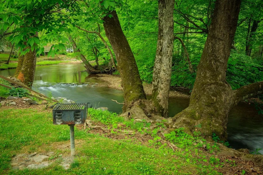 Twilight River Cabin - Image 1
