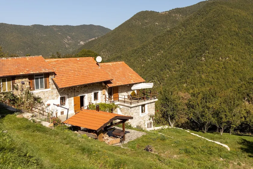 Away from the city - Image 1
