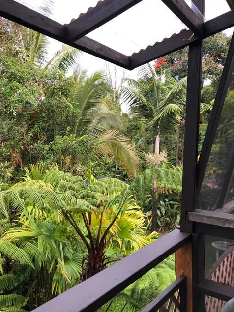 East Hawaii Jungle Suites: Treehouse Cottage - Image 1