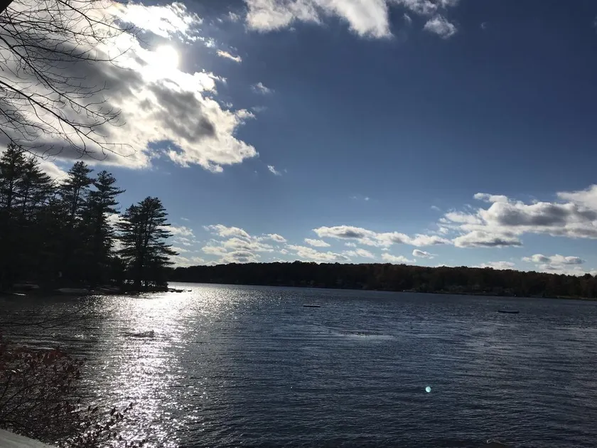 Lakeside Cabin - Image 1