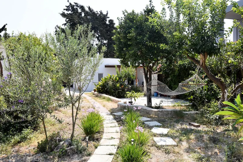 Atelie in the Olive Grove - Image 1