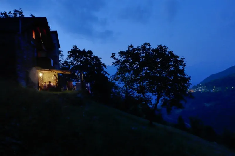Valtellina/Sondrio – The walnut tree - Image 1