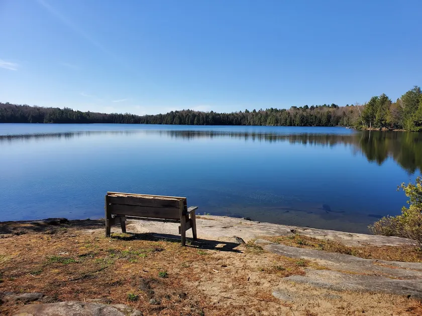 Muskoka Cottage Country Getaway at Bonnie Lake - Image 1